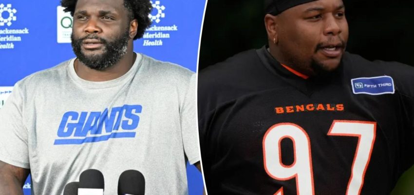 imagem-14