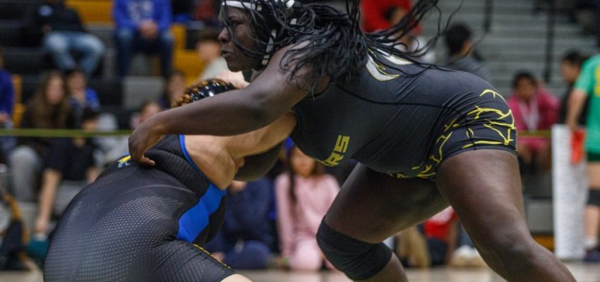 imagem-33
